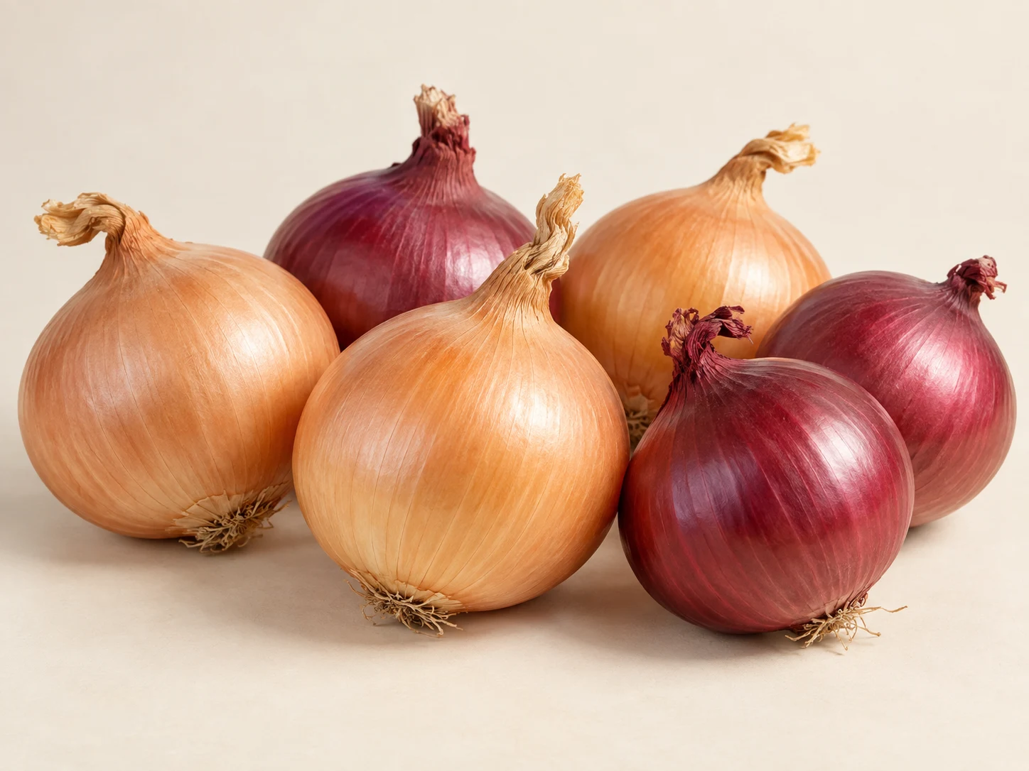 Frische Zwiebeln
